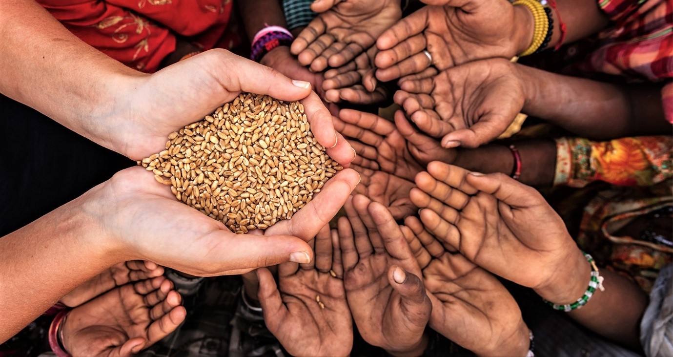 OUR SOCIAL CAUSE IS MINDFULNESS AND A UNIQUE JOURNEY.